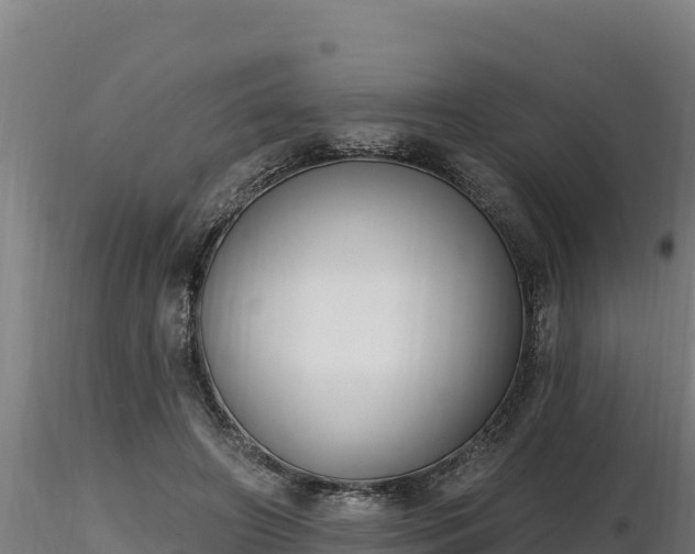 X0000116770498200912241206