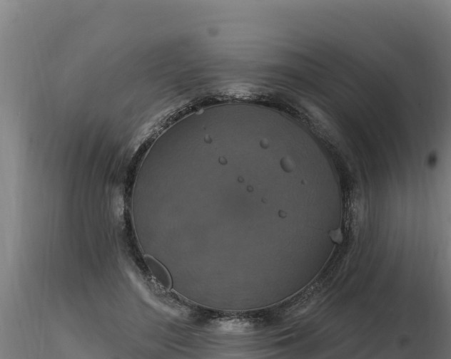 X0000116770500200912241206