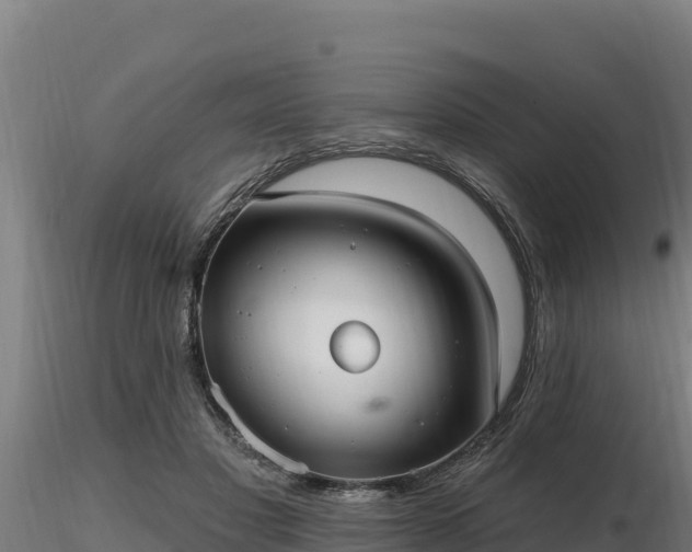 X0000116770501200912241206