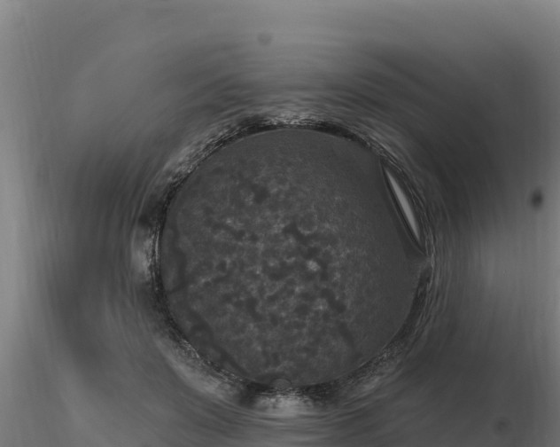 X0000116770503200912241206