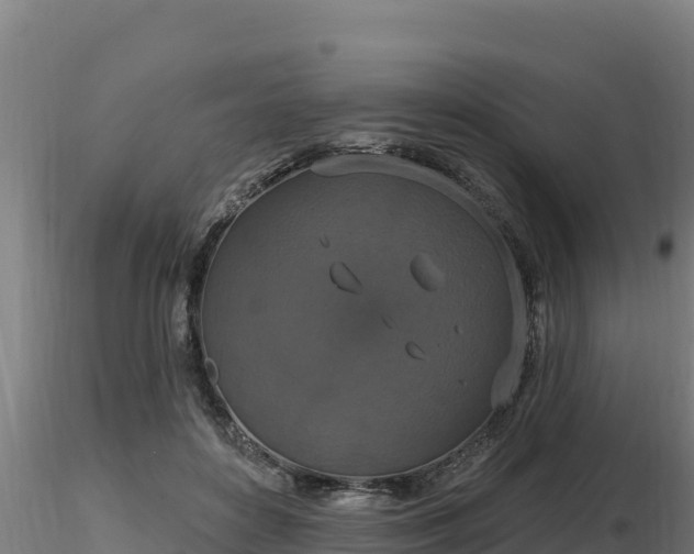 X0000116770504200912241206