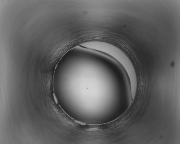 X0000116770505200912241206