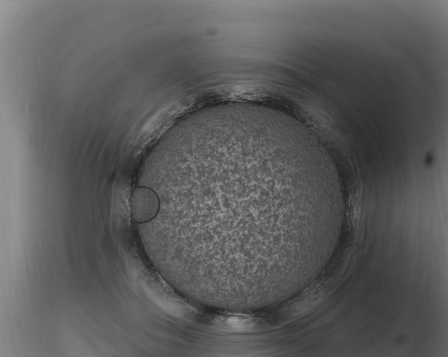 X0000116770506200912241206