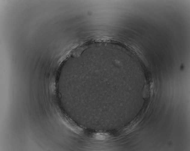 X0000116770508200912241206