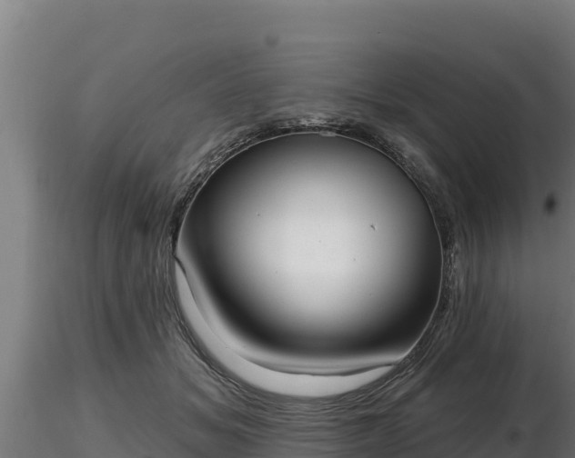 X0000116770509200912241206