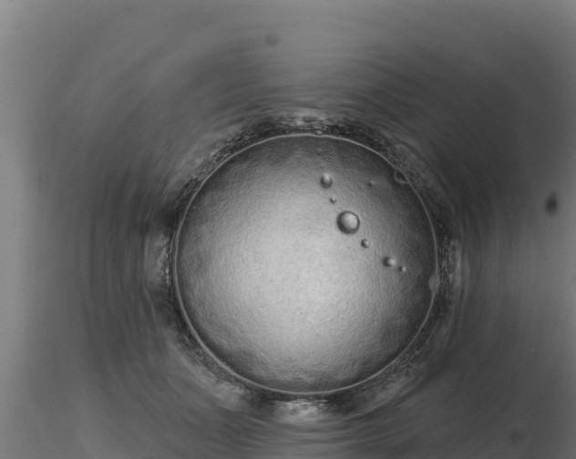X0000116770511200912241206