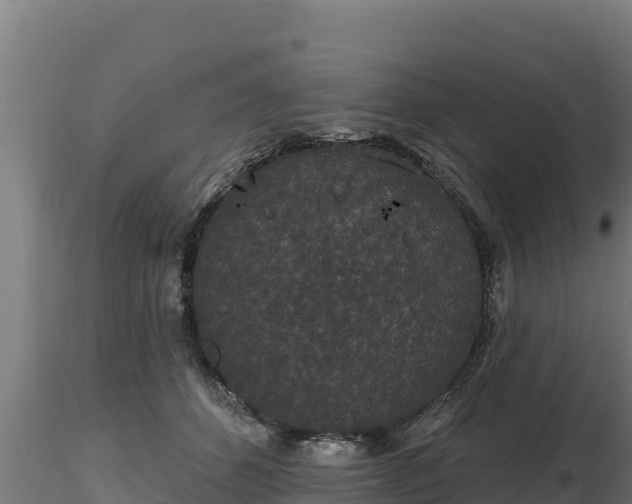 X0000116770512200912241206