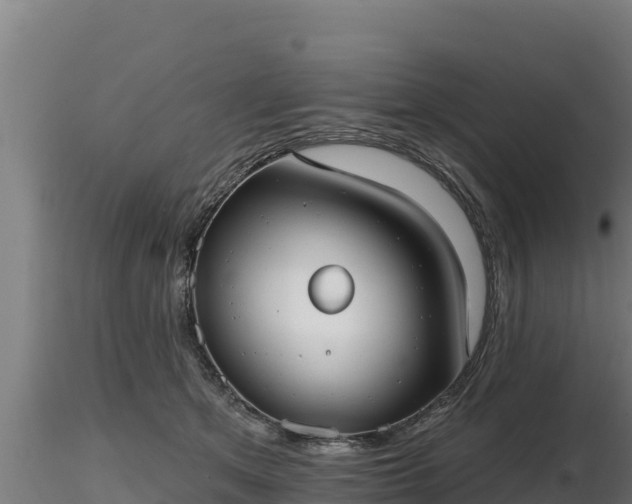 X0000116770513200912241206