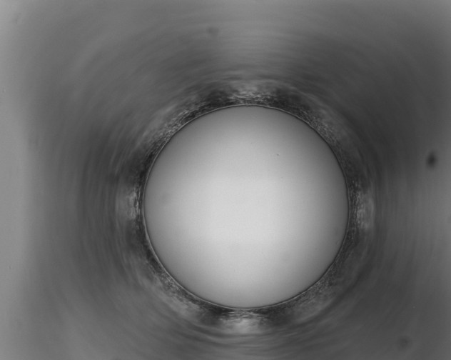 X0000116770514200912241206