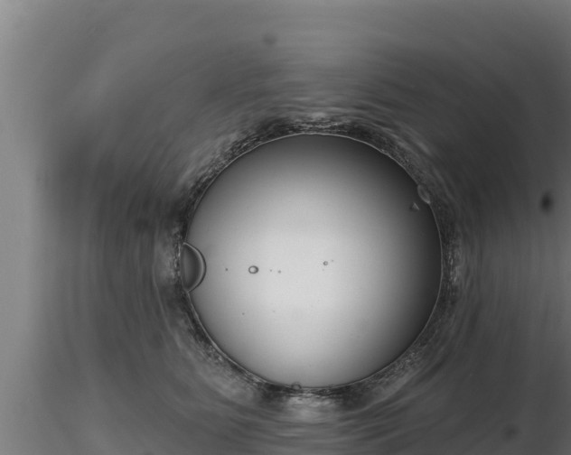 X0000116770515200912241206