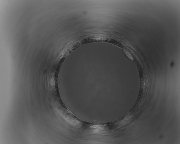 X0000116770516200912241206