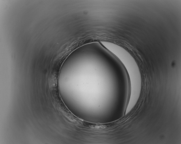 X0000116770517200912241206