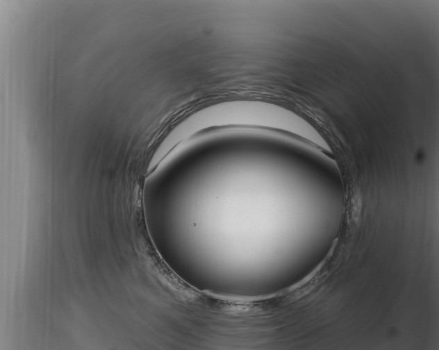 X0000116770521200912241206