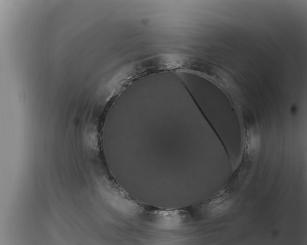 X0000116770524200912241206