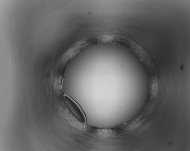X0000116770525200912241206