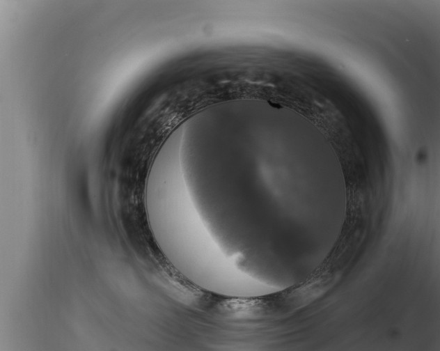X0000116770526200912241206