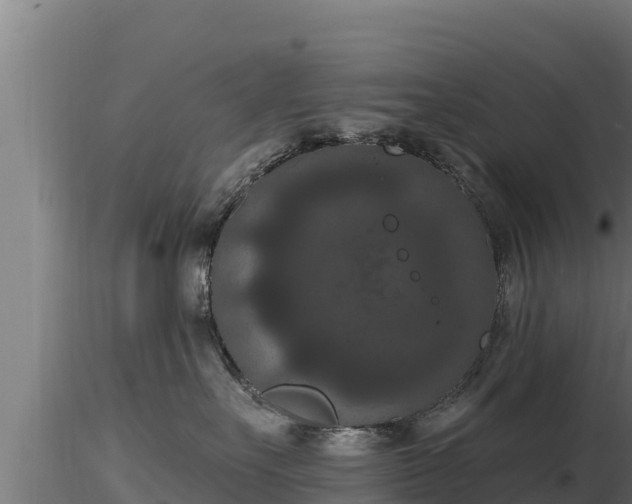 X0000116770527200912241206