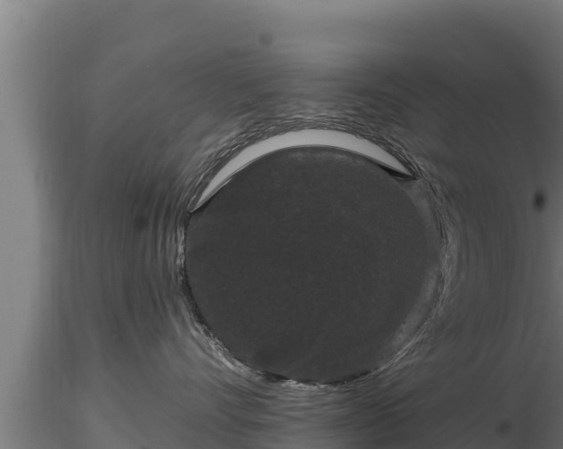 X0000116770528200912241206