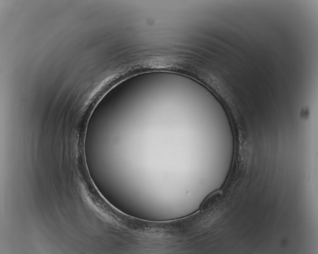 X0000116770530200912241205