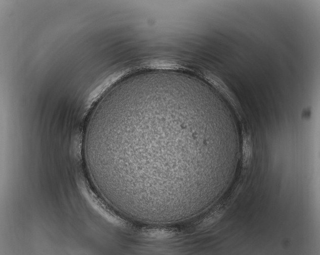 X0000116770533200912241205