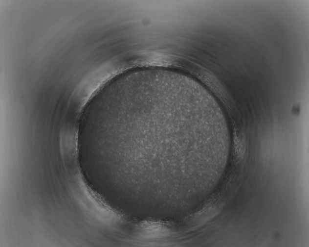 X0000116770534200912241205