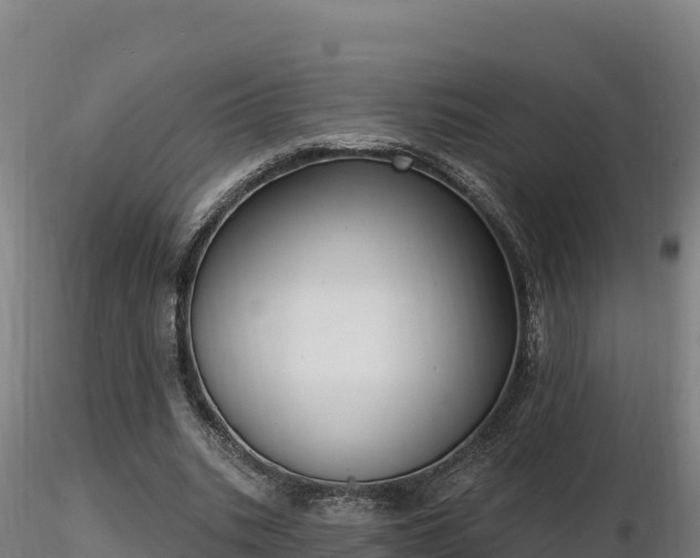X0000116770535200912241205
