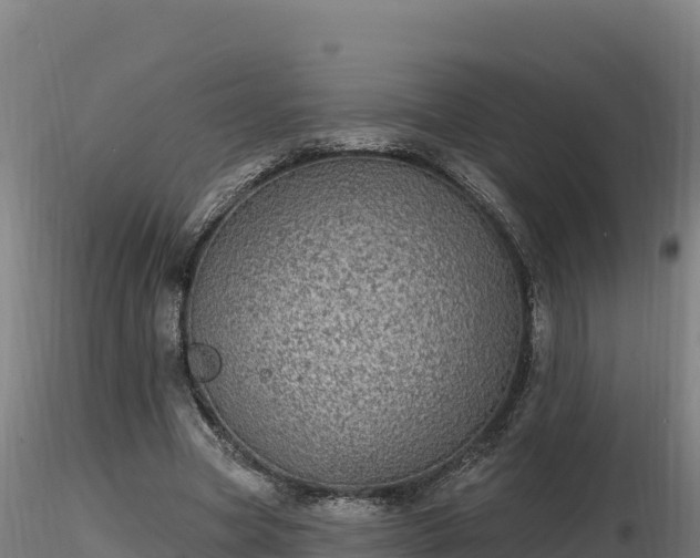 X0000116770537200912241205