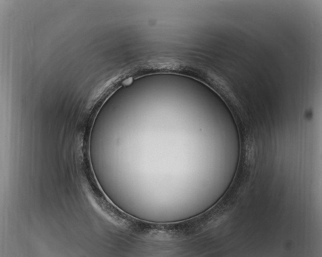 X0000116770538200912241205