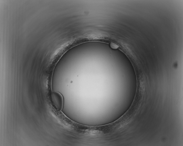 X0000116770539200912241205