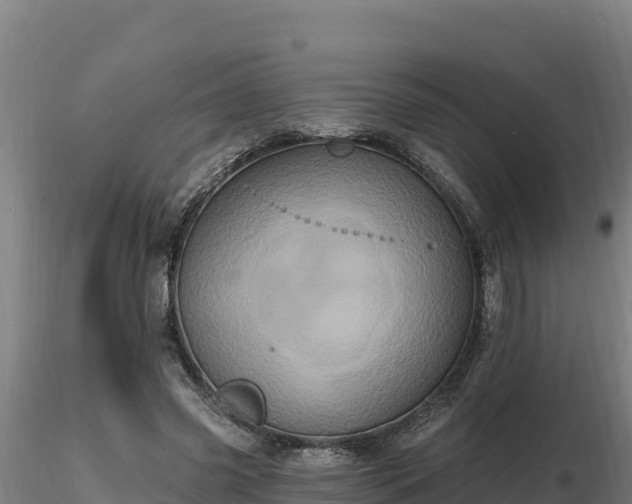 X0000116770541200912241205