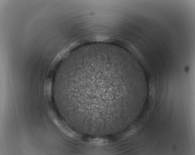 X0000116770542200912241205