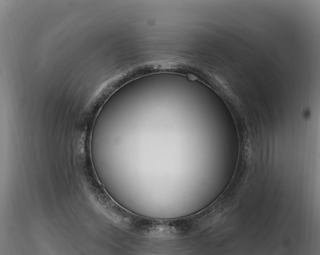 X0000116770543200912241205