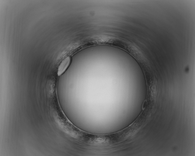 X0000116770546200912241205