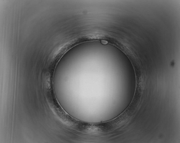 X0000116770547200912241205
