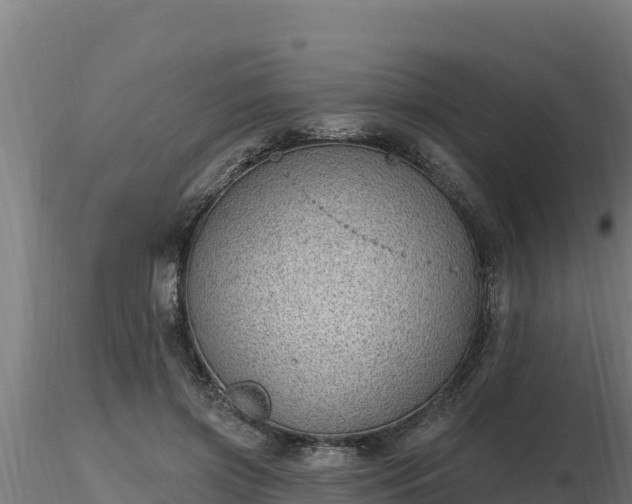 X0000116770549200912241205