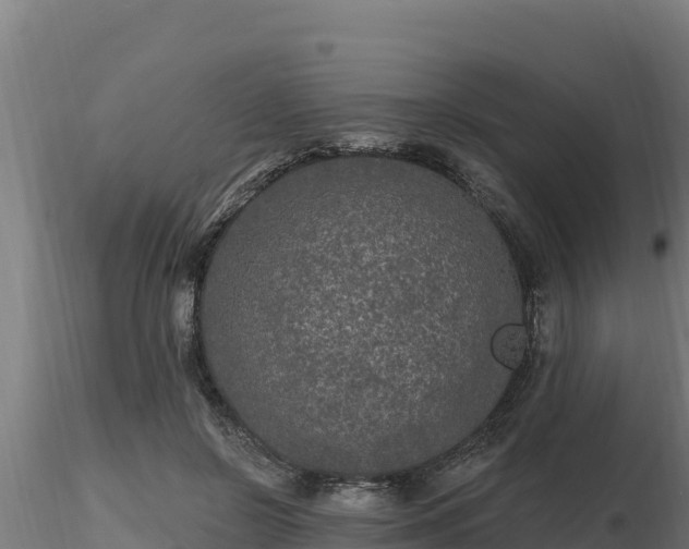 X0000116770550200912241205