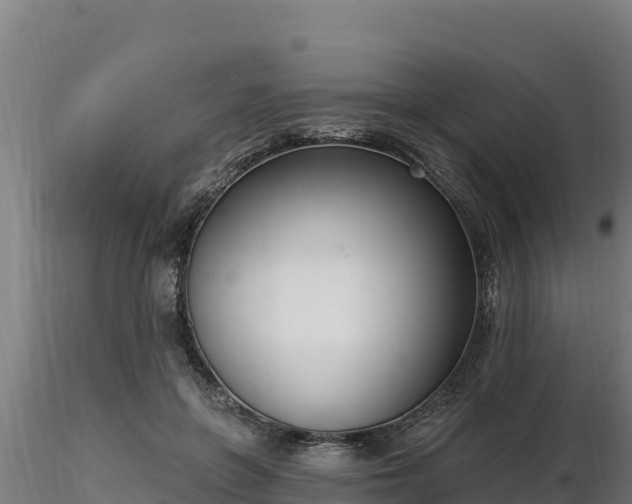 X0000116770551200912241205