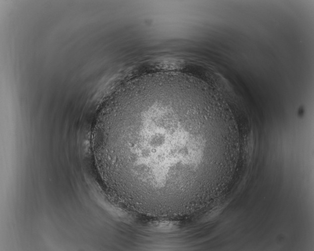 X0000116770553200912241205