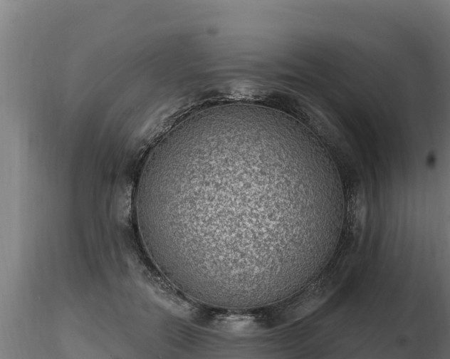 X0000116770554200912241206