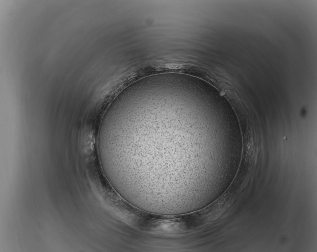 X0000116770555200912241206