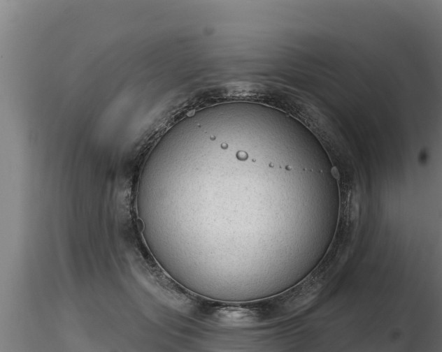 X0000116770557200912241206
