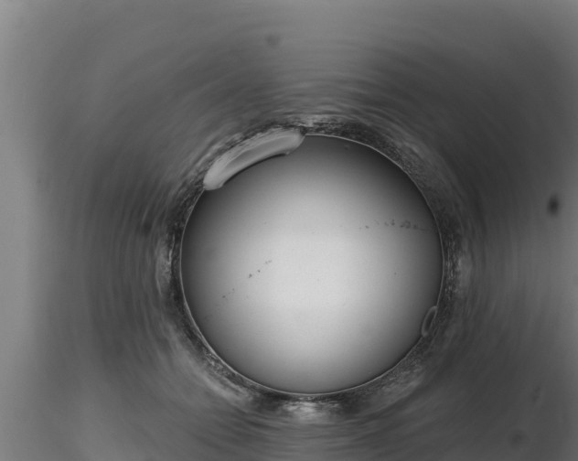 X0000116770558200912241206