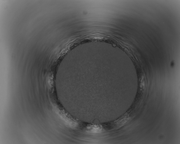 X0000116770559200912241206