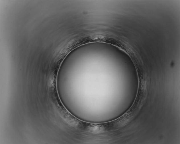 X0000116770561200912241206