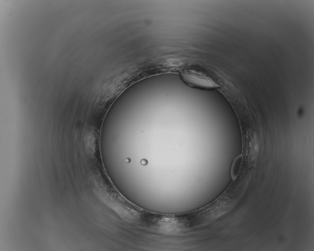 X0000116770562200912241206