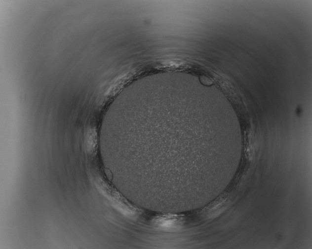 X0000116770563200912241206