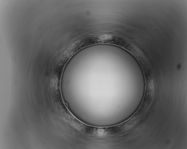X0000116770565200912241206