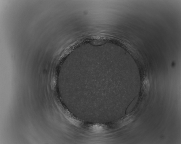 X0000116770566200912241206