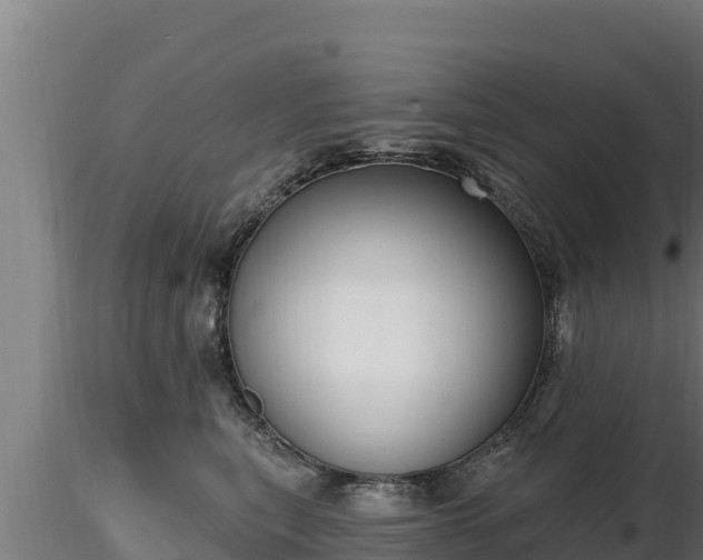X0000116770567200912241206