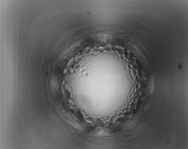 X0000116770569200912241206